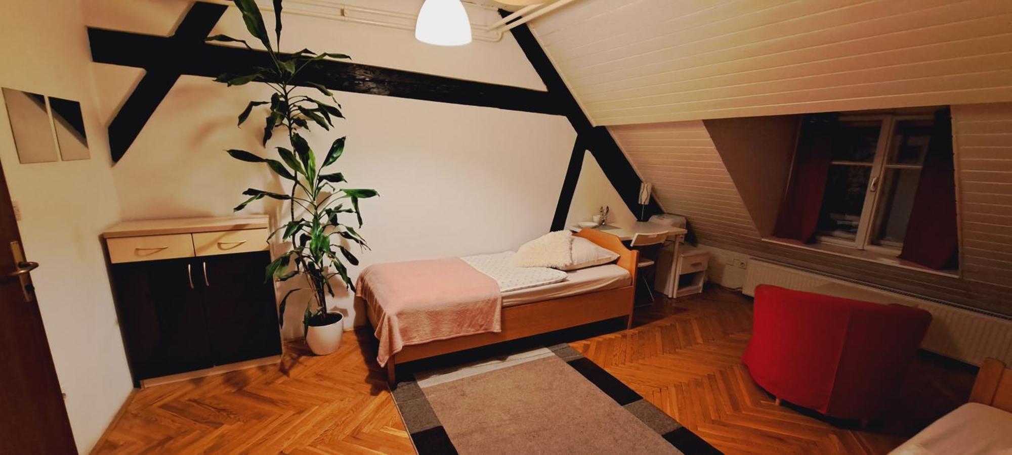Viksi Hostel Ljubljana Værelse billede